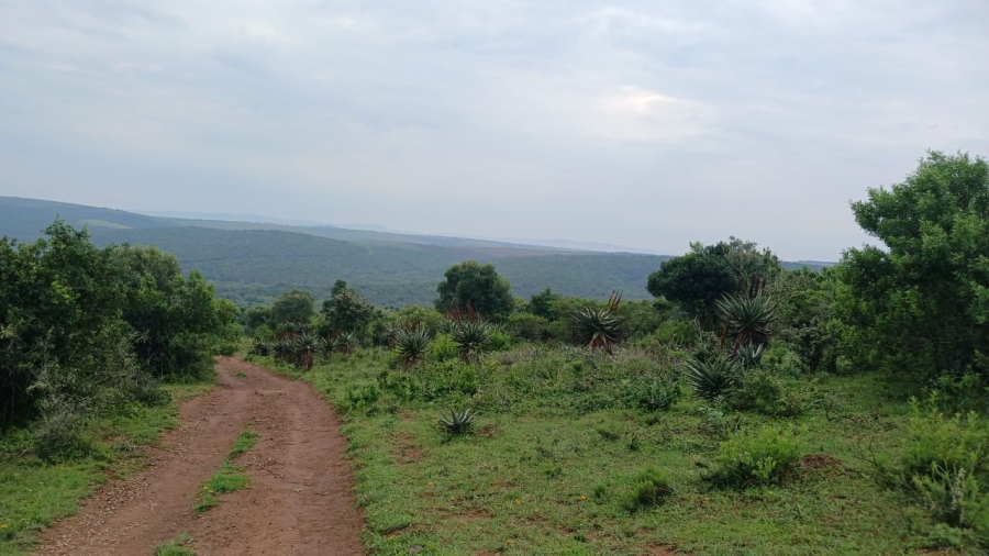 Commercial Property for Sale in Bathurst Rural Eastern Cape